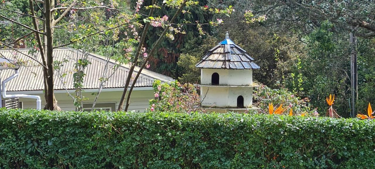 לינה וארוחת בוקר אוקלנד Dovecote House מראה חיצוני תמונה